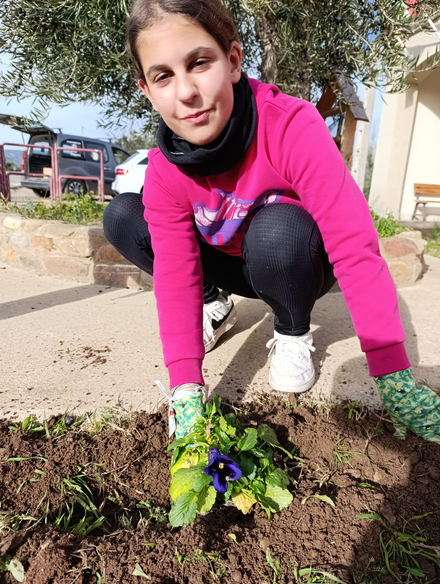 plantando_pensamientos_11_20250216_2093203889.jpg