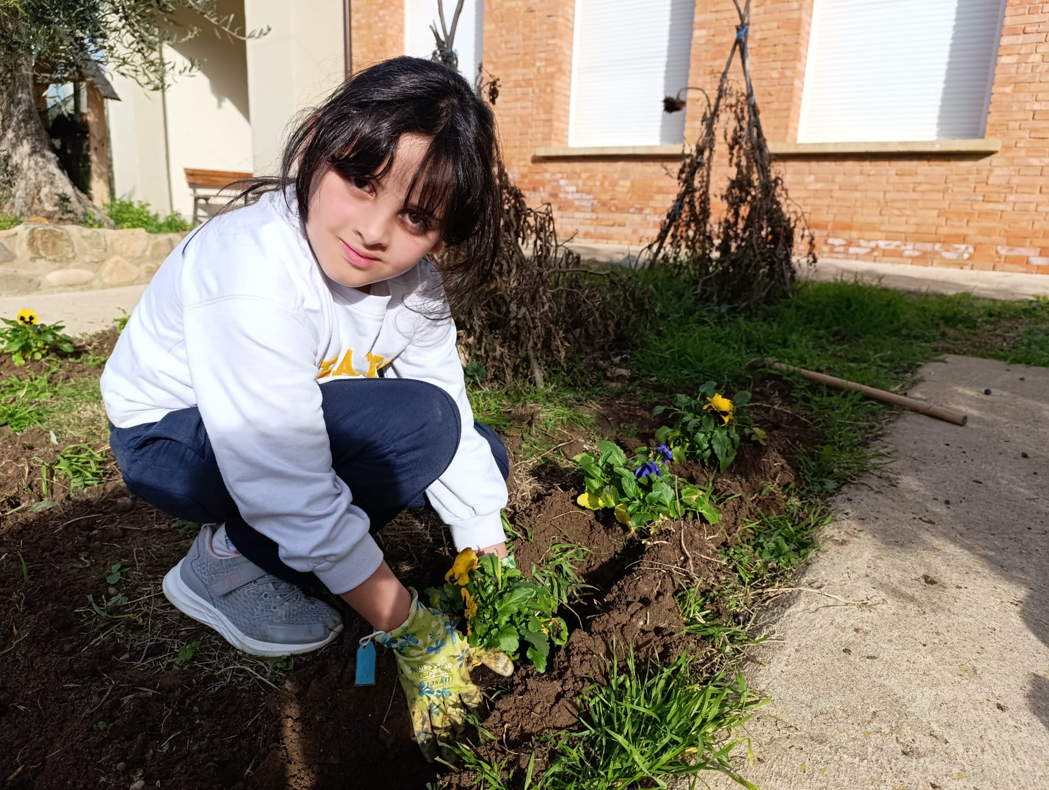 plantando_pensamientos_12_20250216_1495782744.jpg