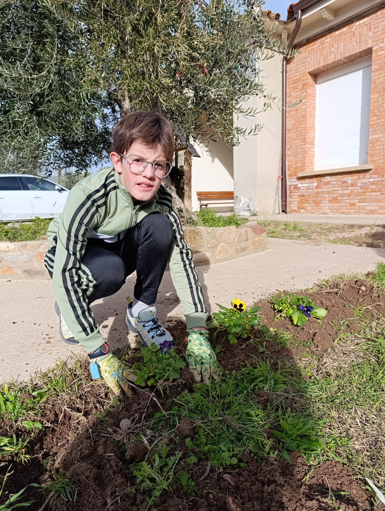 plantando_pensamientos_13_20250216_1707448666.jpg