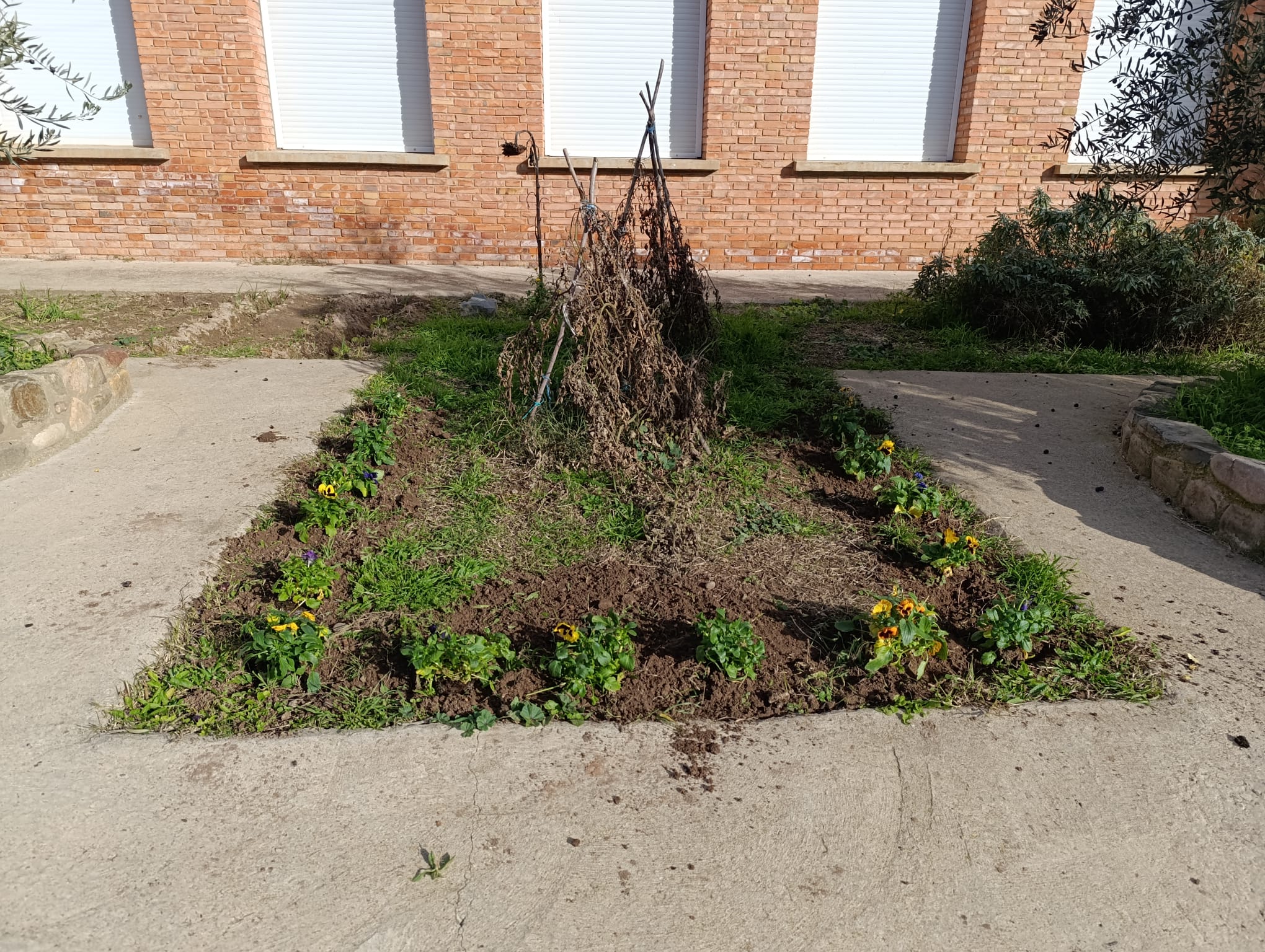plantando_pensamientos_15_20250216_1797029637.jpg