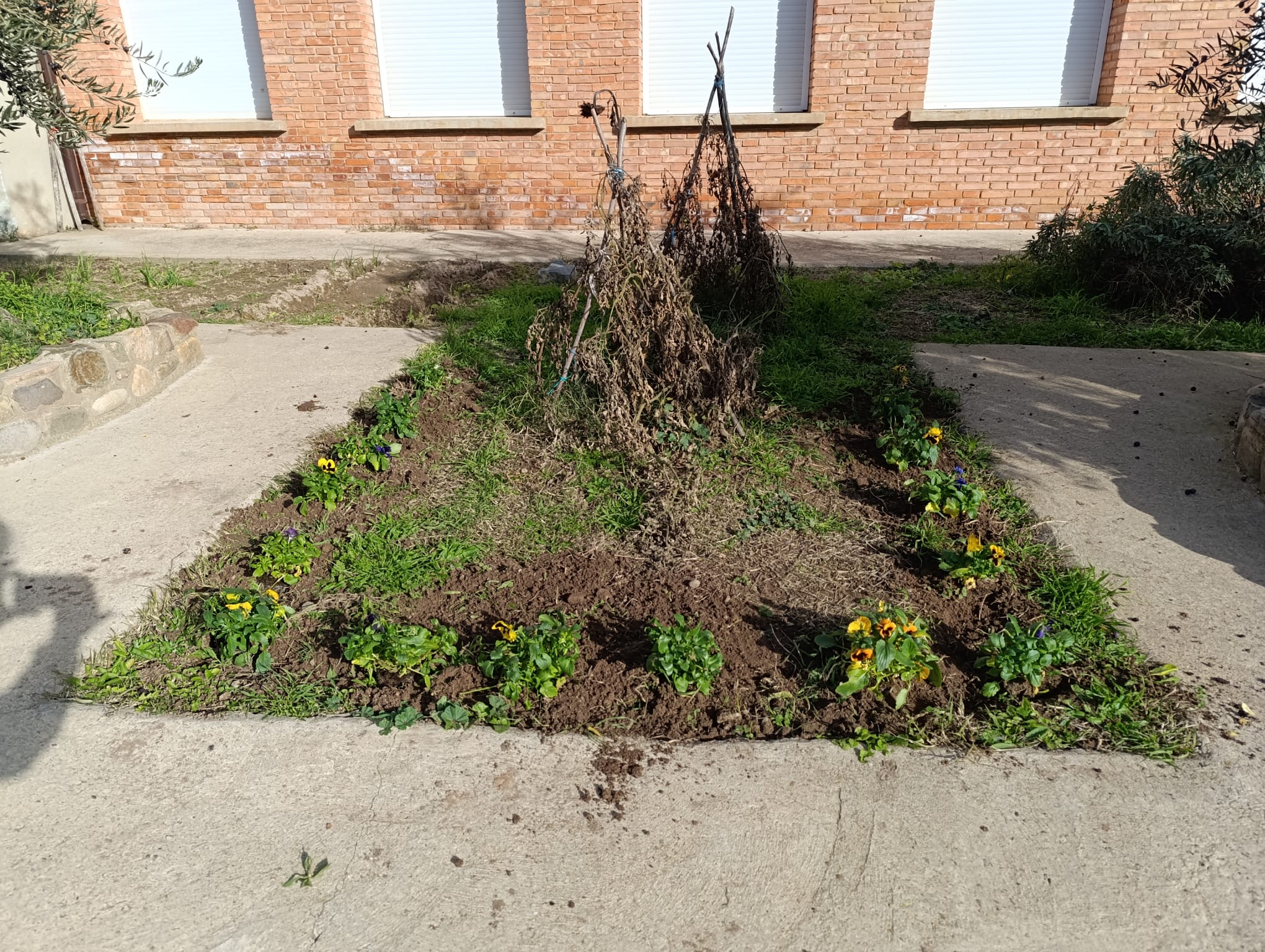 plantando_pensamientos_16_20250216_1202742197.jpg