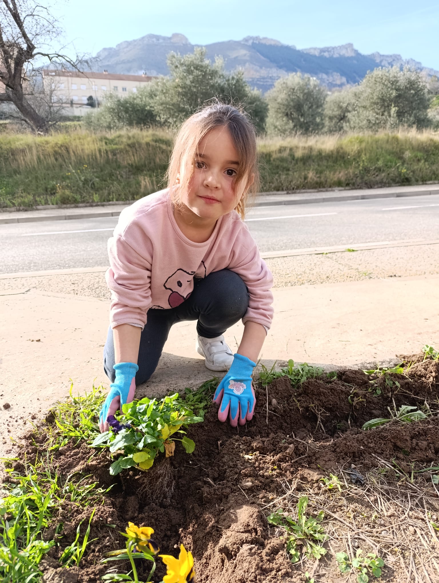 plantando_pensamientos_17_20250216_1434160509.jpg