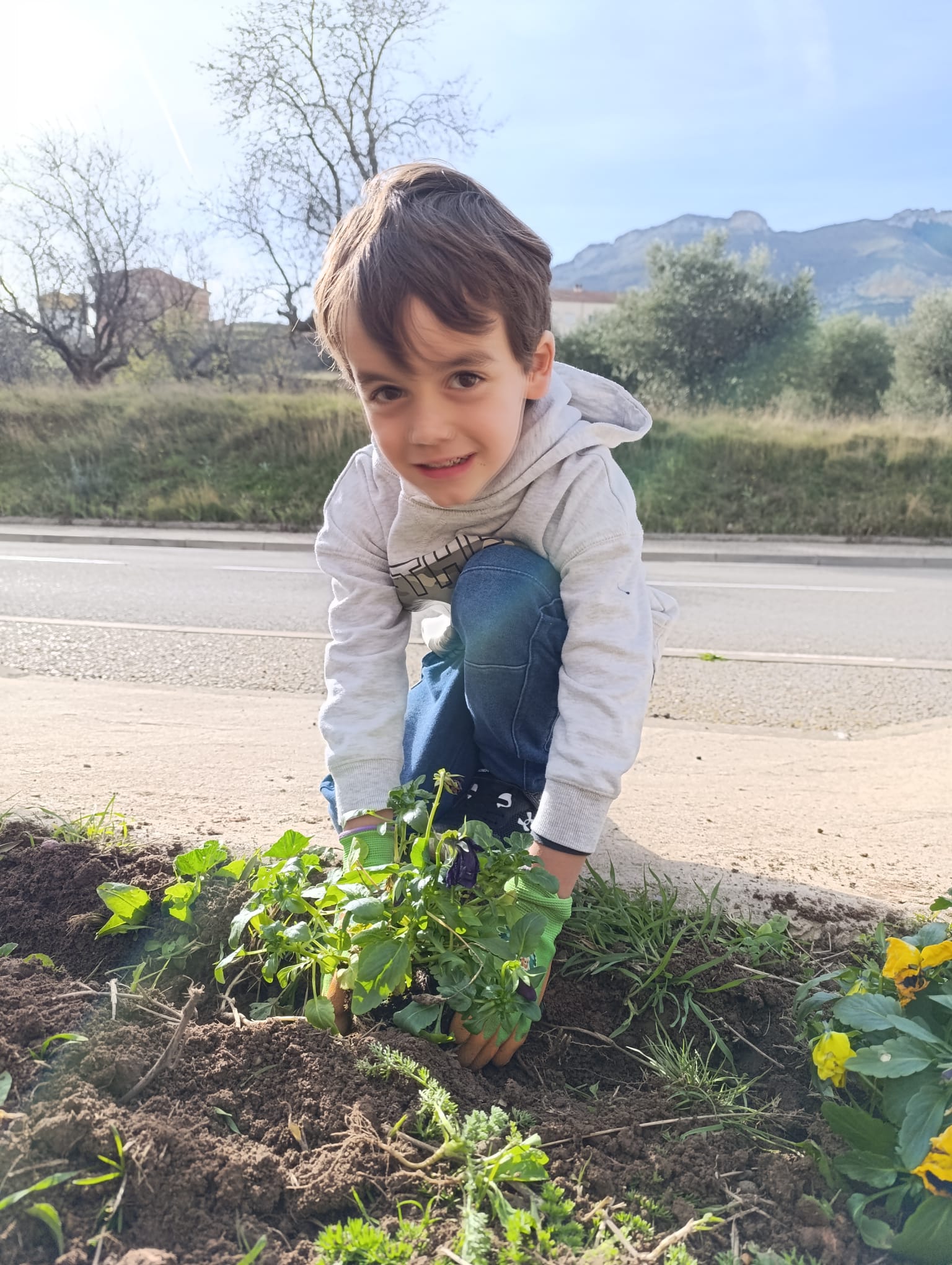 plantando_pensamientos_18_20250216_1036222802.jpg