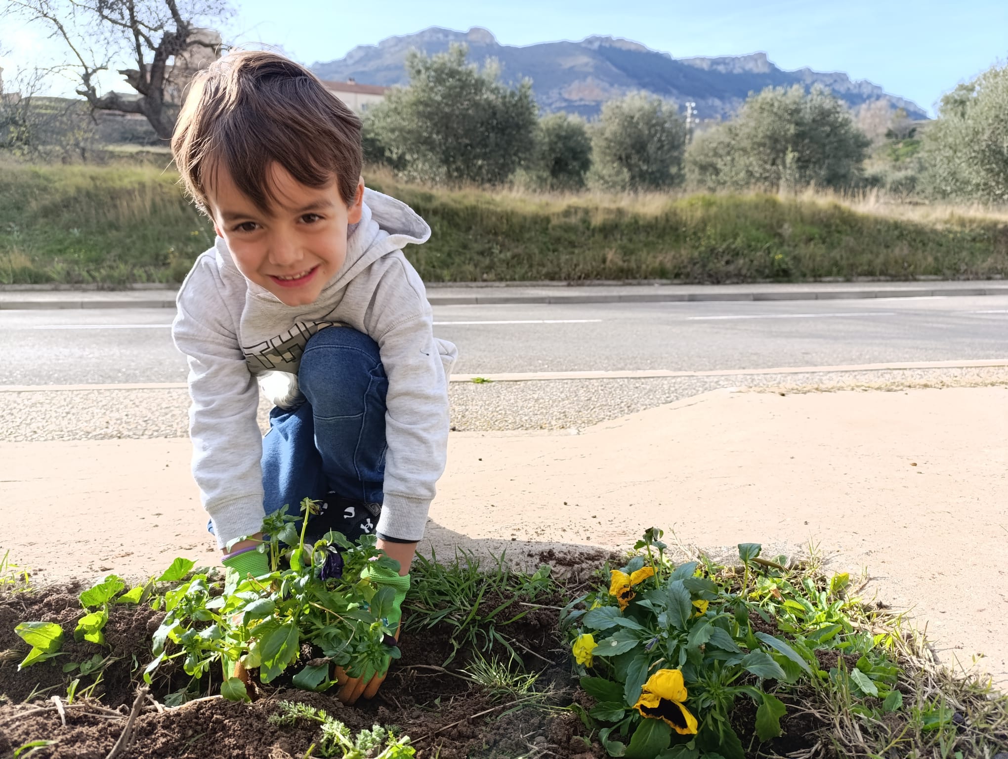 plantando_pensamientos_20_20250216_1827010943.jpg