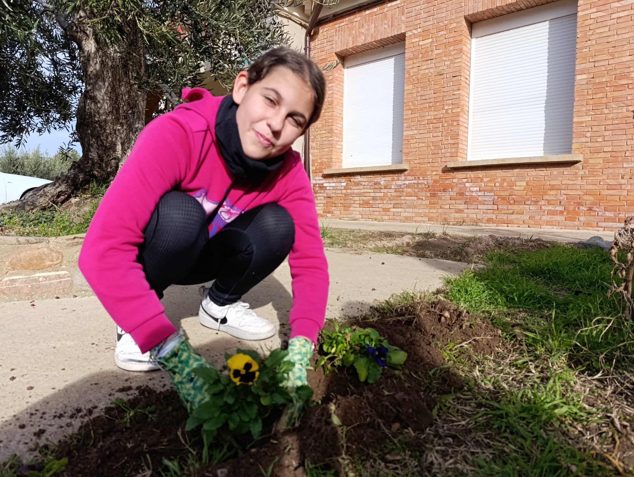 plantando_pensamientos_2_20250216_1842782173.jpg