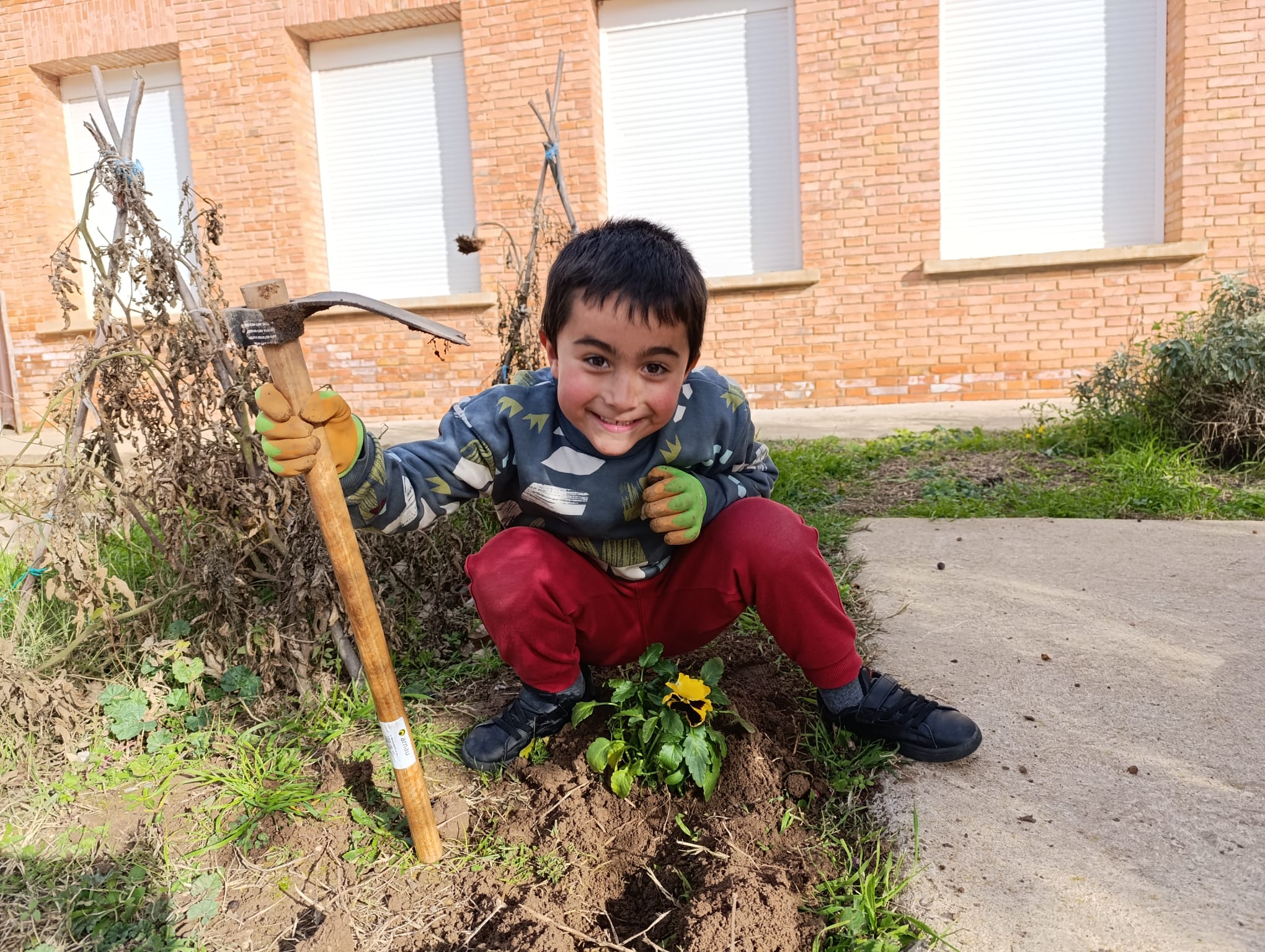 plantando_pensamientos_3_20250216_1636382751.jpg