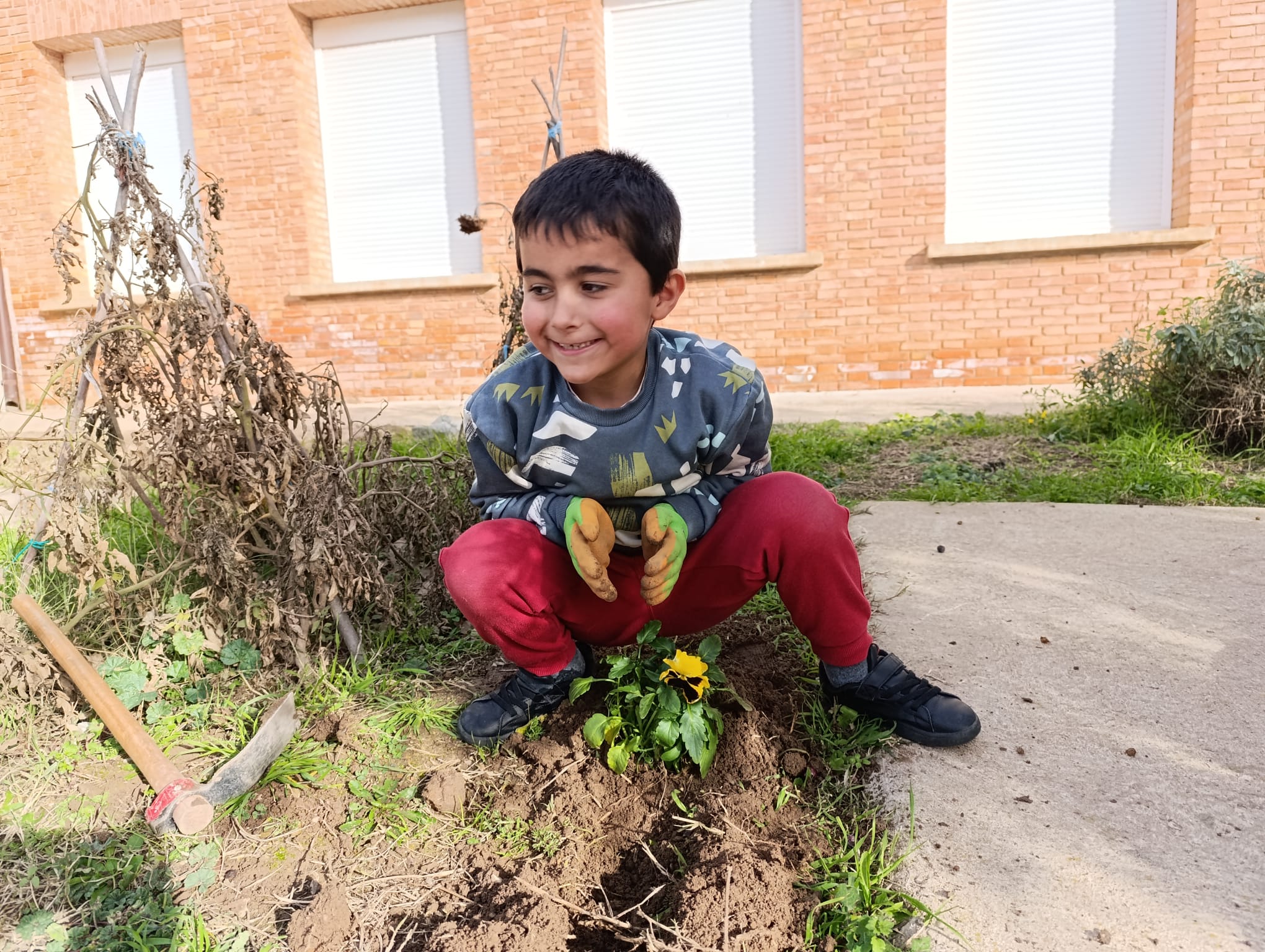 plantando_pensamientos_4_20250216_1256047685.jpg