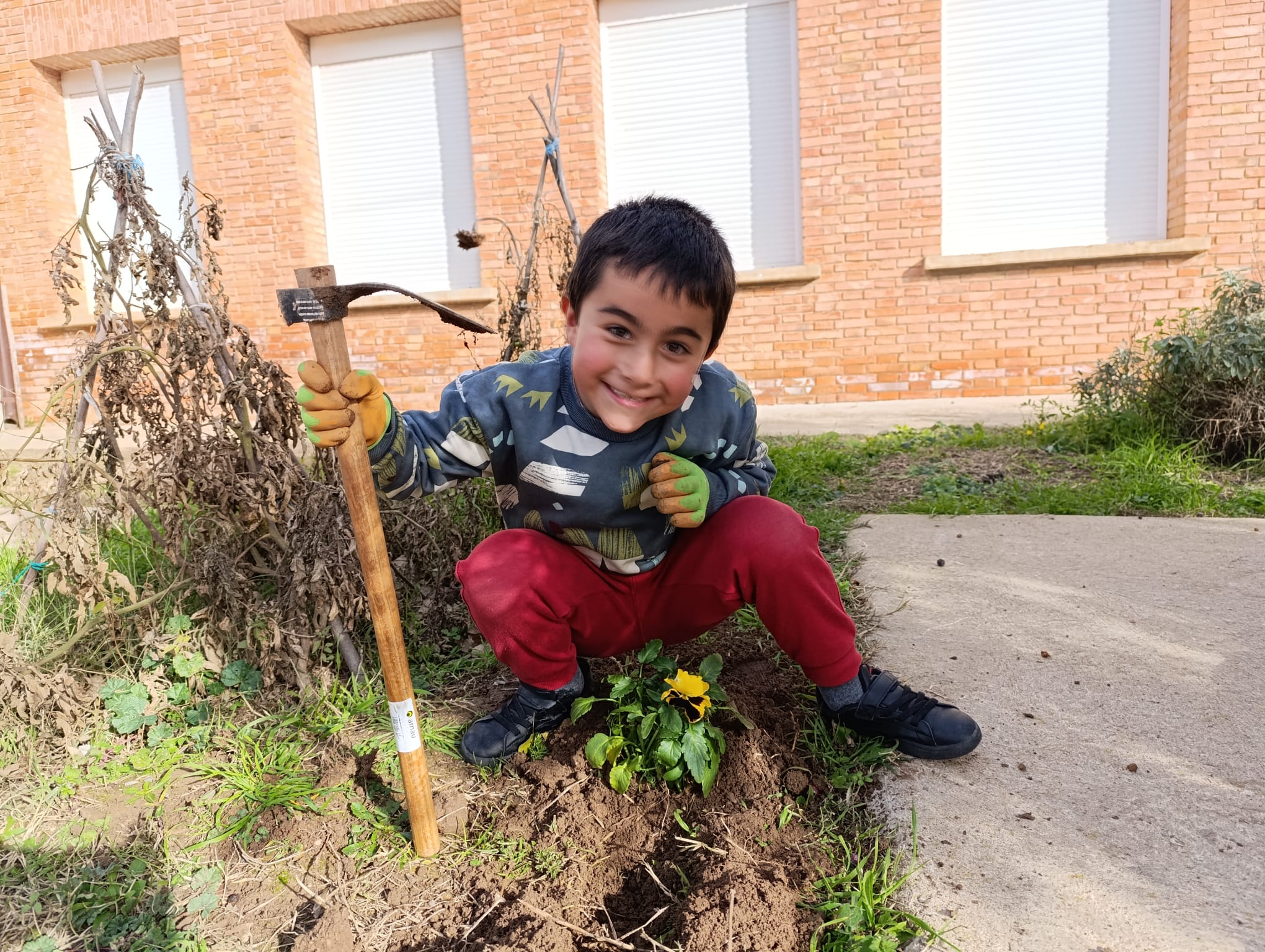 plantando_pensamientos_6_20250216_2073597132.jpg