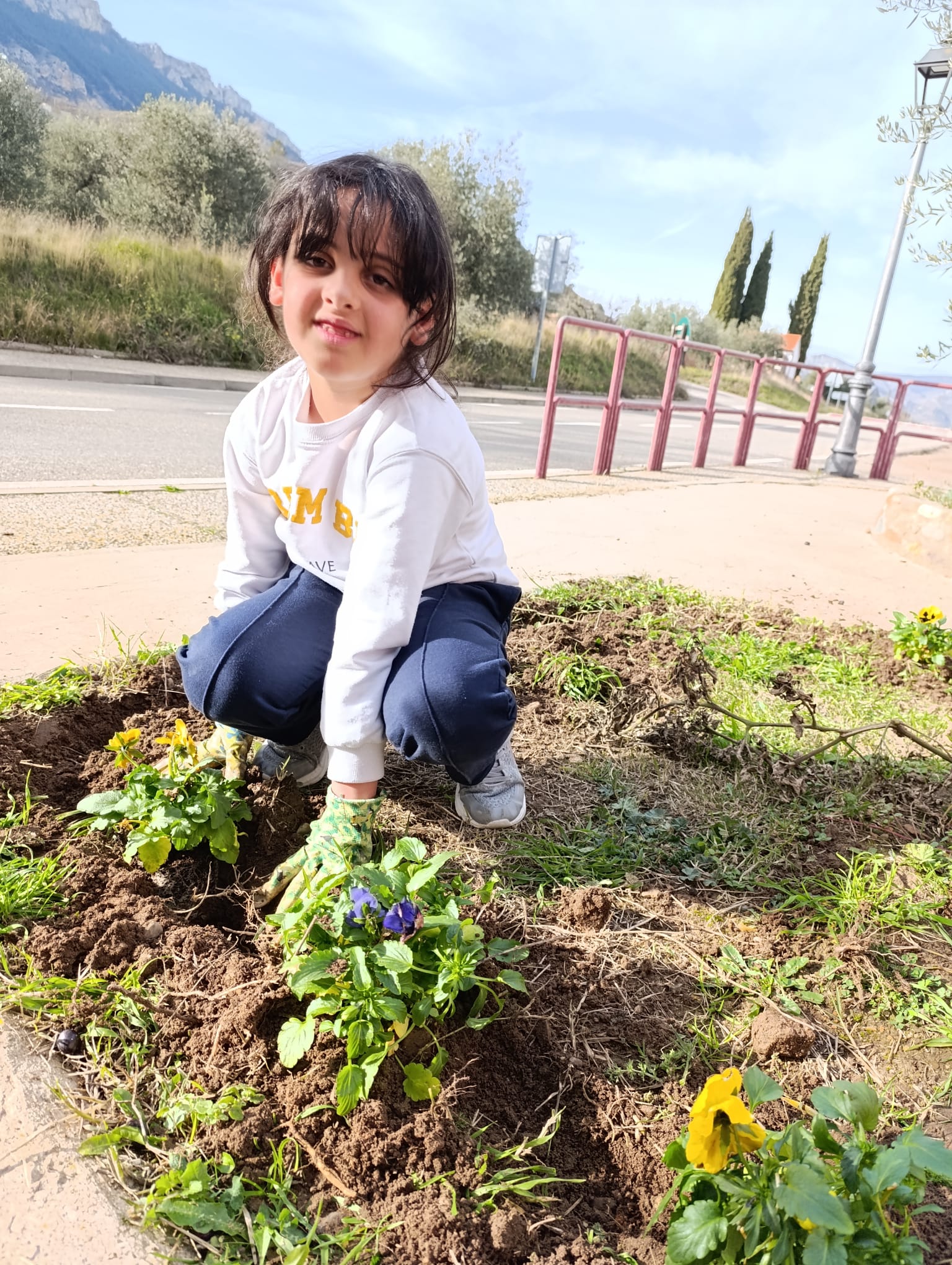 plantando_pensamientos_7_20250216_2037617944.jpg
