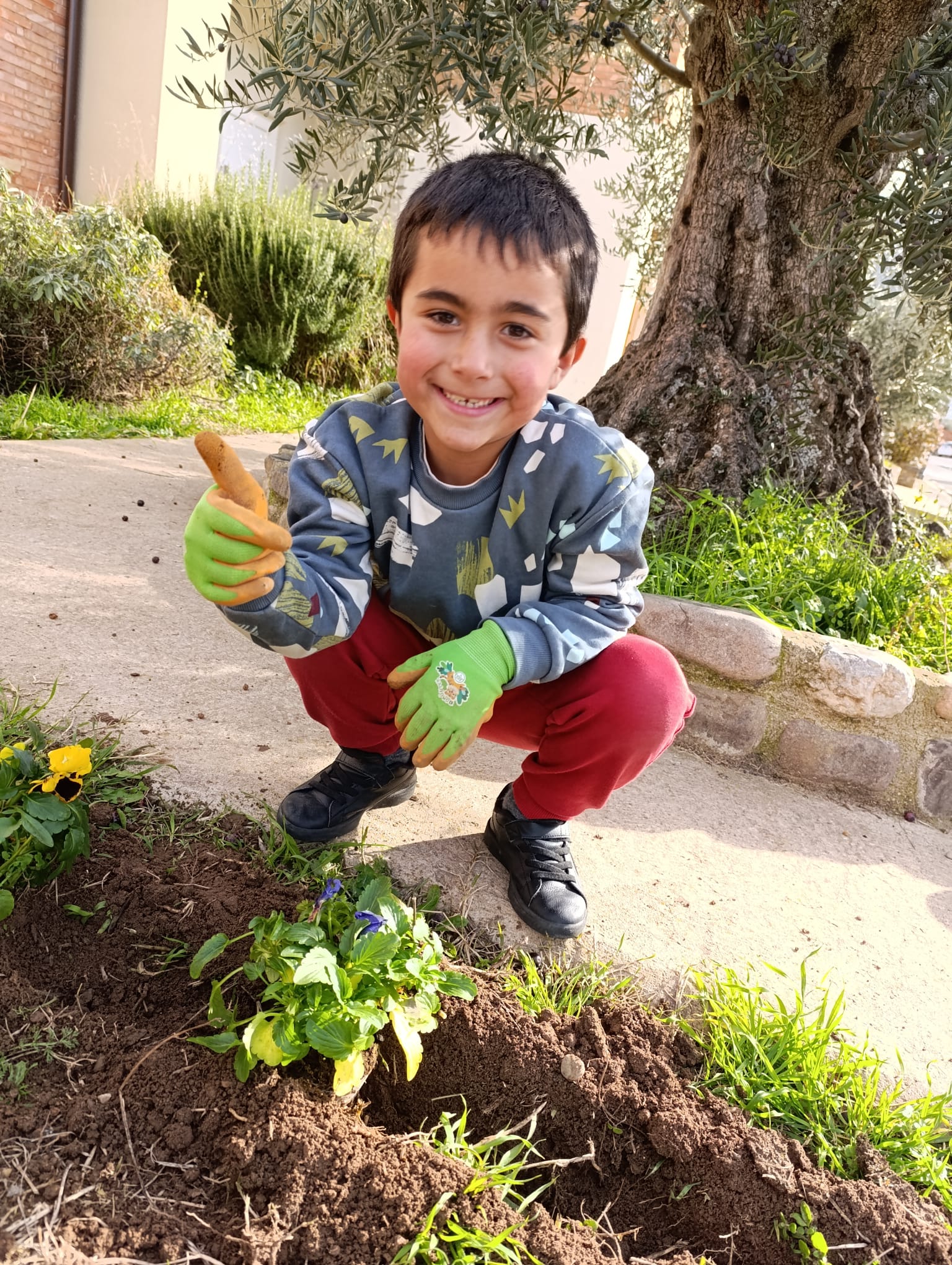 plantando_pensamientos_8_20250216_1816777395.jpg