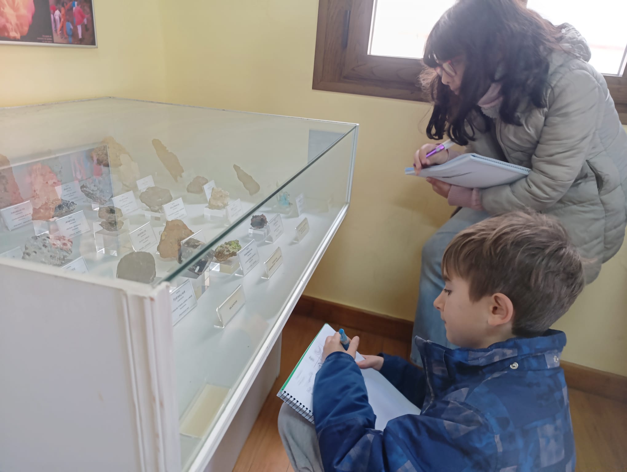 biblioteca_7_20260210_1358261677.jpg