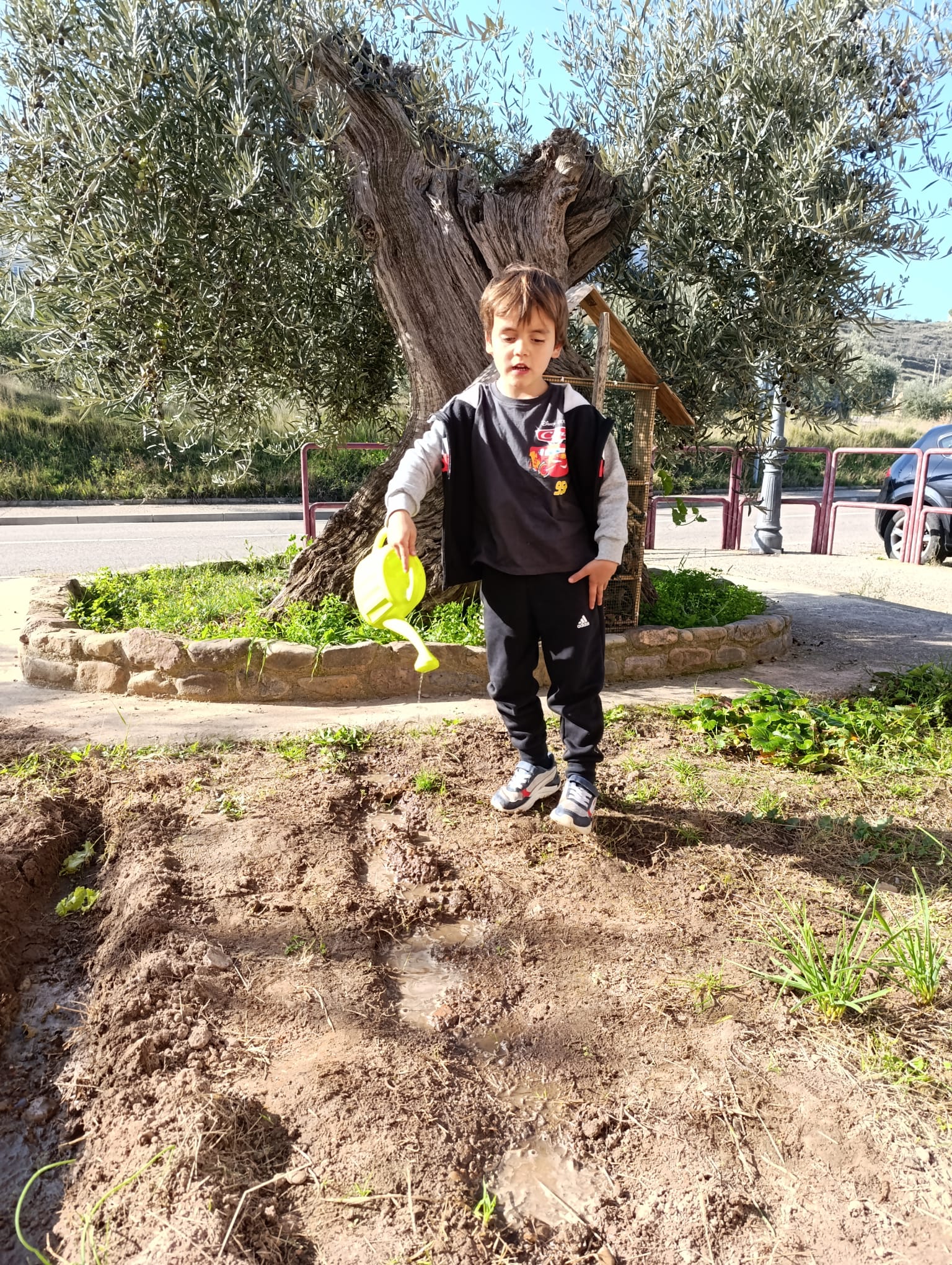 el_huerto_y_sus_cuidados_11_20250215_1810065546.jpg
