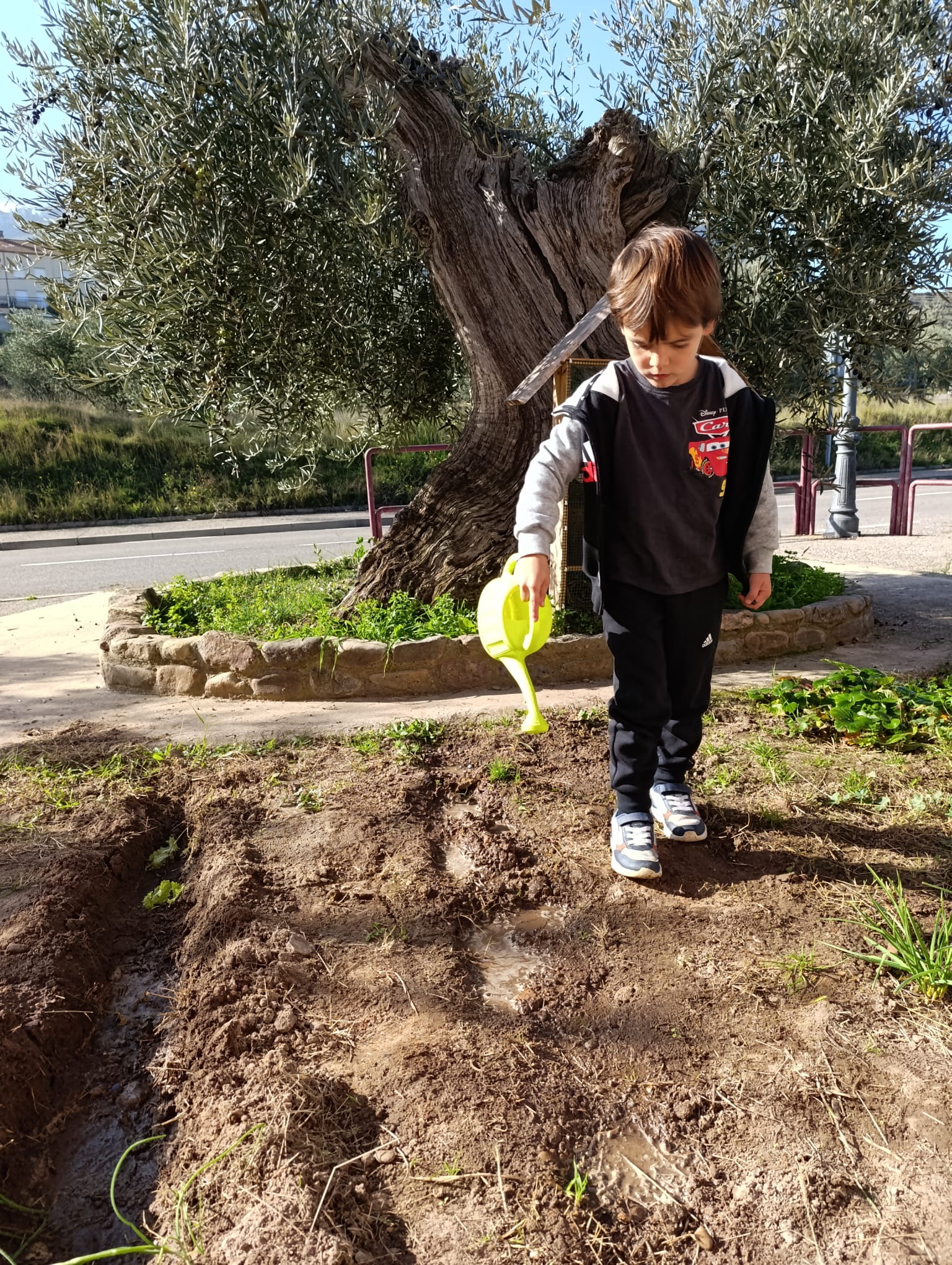 el_huerto_y_sus_cuidados_1_20250215_1535636244.jpg