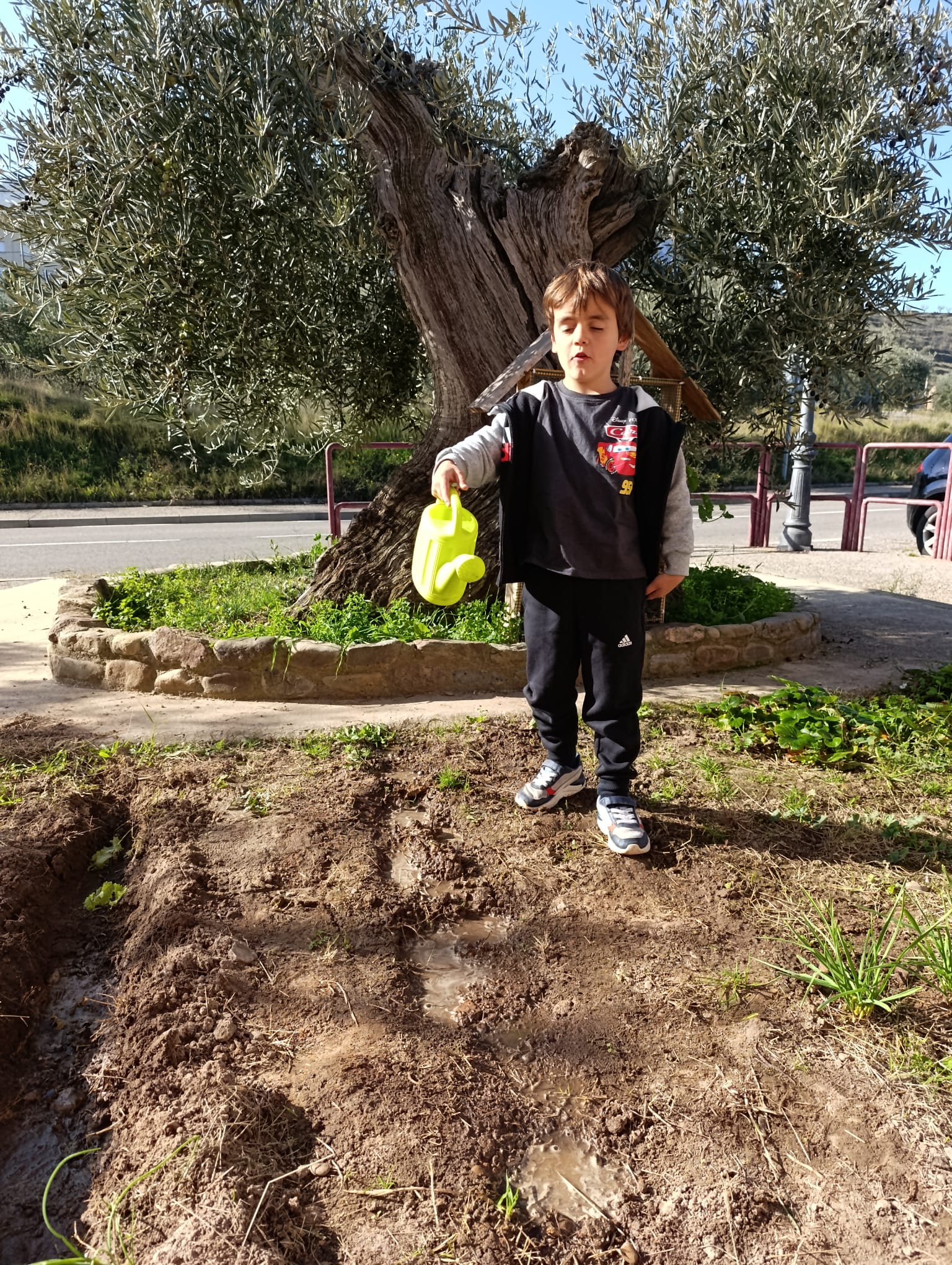 el_huerto_y_sus_cuidados_5_20250215_1190588695.jpg