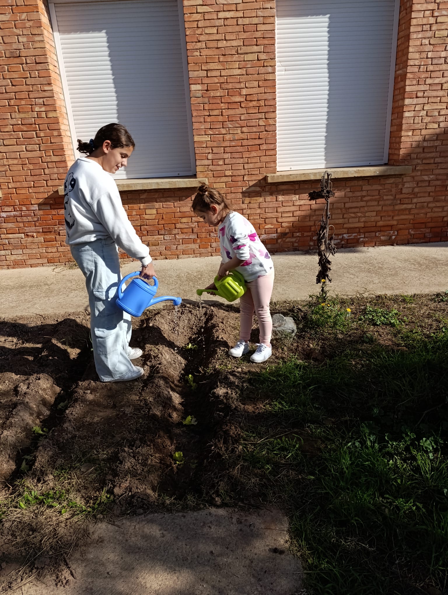 el_huerto_y_sus_cuidados_8_20250215_1528422081.jpg