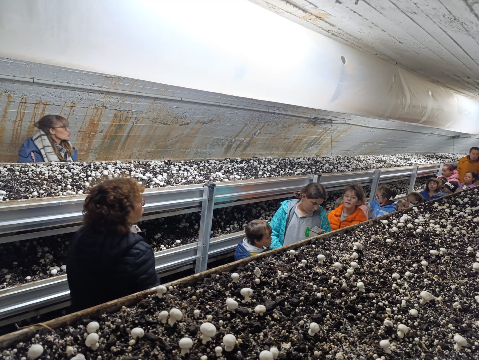 visita_a_fitur_3_20250215_1368250136.jpg