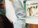 PINGÜINOS_17